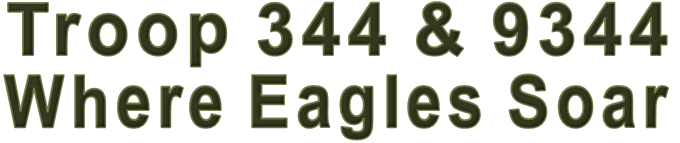 Troop 344 & 9344 Where Eagles Soar